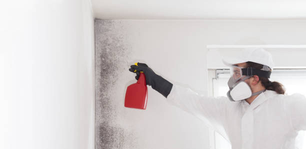 Trusted Plainfield, IN Mold Remediation Experts